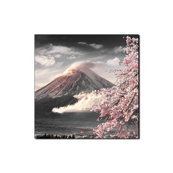 Obraz na plátně - Hora Fuji a třešňové květiny na jaře- čtverec
